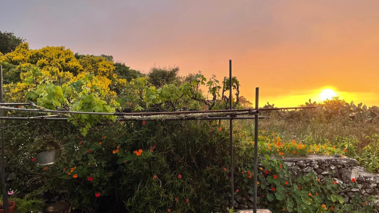 Casa Rural Casa & Monte Erese 外观 照片